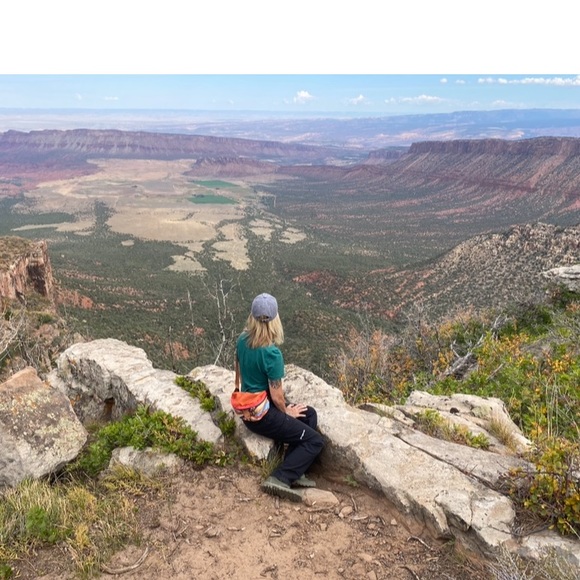 NWT Grand Canyon Hip pack - Picture 6 of 6